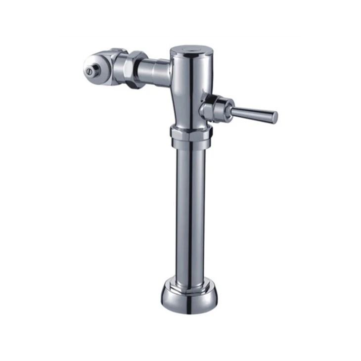 Exposed Water Closet Toilet Flushometer